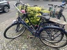 Bild zu gemeldetem Anliegen vom *2024-06-18 12:36:54