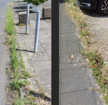 Bild zu gemeldetem Anliegen vom *2024-06-23 18:45:32