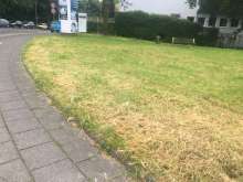 Bild zu gemeldetem Anliegen vom *2024-06-03 16:01:34