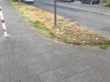 Bild zu gemeldetem Anliegen vom *2024-06-03 16:18:29