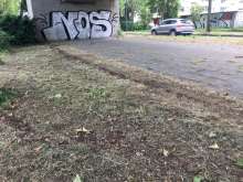 Bild zu gemeldetem Anliegen vom *2024-06-09 17:33:43