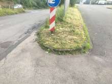 Bild zu gemeldetem Anliegen vom *2024-06-03 16:23:44
