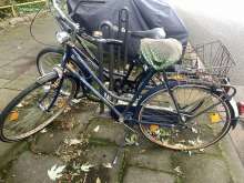 Bild zu gemeldetem Anliegen vom *2024-06-19 13:29:24