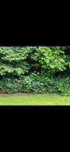 Bild zu gemeldetem Anliegen vom *2024-06-24 15:47:42