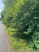Bild zu gemeldetem Anliegen vom *2024-06-29 10:20:22