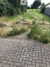 Bild zu gemeldetem Anliegen vom *2024-06-20 09:34:15