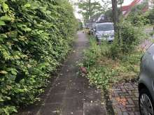 Bild zu gemeldetem Anliegen vom *2024-06-21 18:03:31