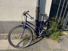 Bild zu gemeldetem Anliegen vom *2024-06-29 06:35:36