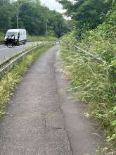Bild zu gemeldetem Anliegen vom *2024-06-06 06:34:03