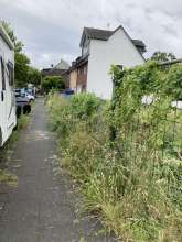 Bild zu gemeldetem Anliegen vom *2024-06-18 12:28:06