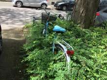 Bild zu gemeldetem Anliegen vom *2024-05-31 21:30:00