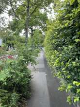 Bild zu gemeldetem Anliegen vom *2024-06-27 12:33:32