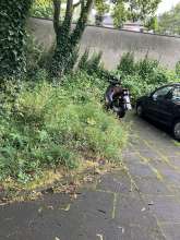 Bild zu gemeldetem Anliegen vom *2024-06-30 10:55:55