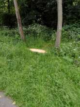 Bild zu gemeldetem Anliegen vom *2024-06-01 16:27:54