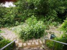 Bild zu gemeldetem Anliegen vom *2024-06-11 07:13:54