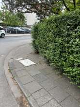 Bild zu gemeldetem Anliegen vom *2024-06-13 09:29:22