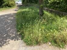 Bild zu gemeldetem Anliegen vom *2024-06-24 13:18:55
