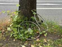 Bild zu gemeldetem Anliegen vom *2024-06-01 10:36:45