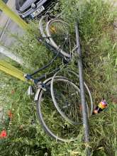 Bild zu gemeldetem Anliegen vom *2024-06-01 10:48:11