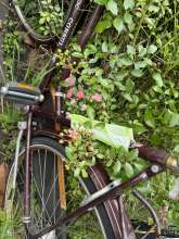 Bild zu gemeldetem Anliegen vom *2024-06-16 19:35:37