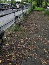 Bild zu gemeldetem Anliegen vom *2024-06-12 16:05:14