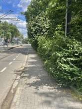 Bild zu gemeldetem Anliegen vom *2024-06-17 12:32:36