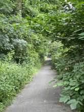 Bild zu gemeldetem Anliegen vom *2024-06-16 09:30:24