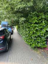 Bild zu gemeldetem Anliegen vom *2024-06-03 15:28:27