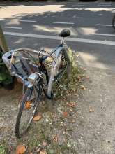 Bild zu gemeldetem Anliegen vom *2024-06-25 18:39:52