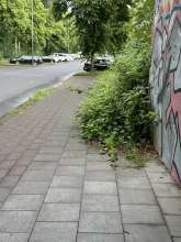 Bild zu gemeldetem Anliegen vom *2024-06-17 21:37:58