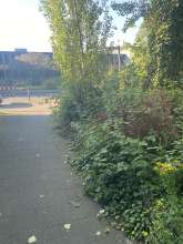 Bild zu gemeldetem Anliegen vom *2024-06-26 06:32:33