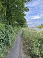 Bild zu gemeldetem Anliegen vom *2024-06-13 16:34:46