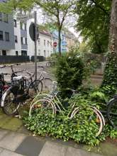 Bild zu gemeldetem Anliegen vom *2024-06-02 21:36:29