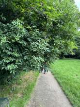 Bild zu gemeldetem Anliegen vom *2024-06-02 21:36:29
