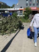 Bild zu gemeldetem Anliegen vom *2024-06-13 13:18:06