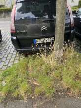 Bild zu gemeldetem Anliegen vom *2024-06-30 15:36:21