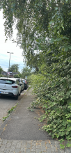 Bild zu gemeldetem Anliegen vom *2024-06-24 15:51:09