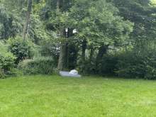 Bild zu gemeldetem Anliegen vom *2024-06-11 12:59:29