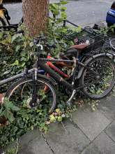 Bild zu gemeldetem Anliegen vom *2024-06-10 21:25:00