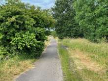 Bild zu gemeldetem Anliegen vom *2024-06-19 10:16:36