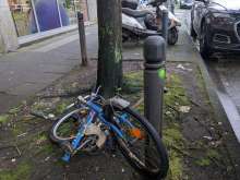 Bild zu gemeldetem Anliegen vom *2024-06-06 15:31:36