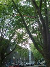 Bild zu gemeldetem Anliegen vom *2024-06-12 20:57:59