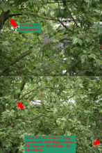 Bild zu gemeldetem Anliegen vom *2024-06-10 15:48:26