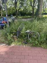 Bild zu gemeldetem Anliegen vom *2024-06-20 10:31:35