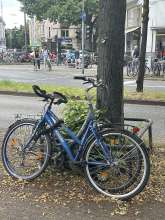 Bild zu gemeldetem Anliegen vom *2024-06-24 14:19:46