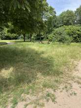 Bild zu gemeldetem Anliegen vom *2024-06-29 12:29:39