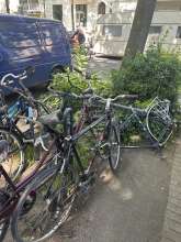 Bild zu gemeldetem Anliegen vom *2024-06-06 16:07:34