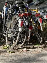 Bild zu gemeldetem Anliegen vom *2024-06-09 17:24:34