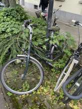 Bild zu gemeldetem Anliegen vom *2024-06-11 08:28:55