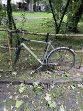 Bild zu gemeldetem Anliegen vom *2024-06-11 11:49:49